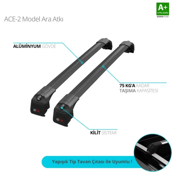 ACE-2 Model Siyah